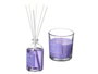 Acorde Set Mikado 100 ml et Vela 30h Lavande 19x15x7 cm (Set de 6)