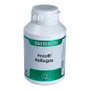 EQUISALUD HOLOFIT REFLUGAS 180cap.