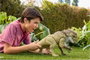 Mattel Distortus Rex Jurassic World - Figurine d'action de bataille
