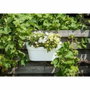 Garden Id Jardinière Star Balcony + Hook Blanche 50 x 21 cm
