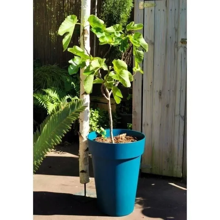 Riviera Soleilla - Pot de fleurs d'extérieur en plastique, hauteur 52 cm, diamètre 39 cm, couleur bleue