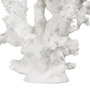 BigBuy Home Figurine Décorative Corail Blanc en Résine