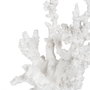 BigBuy Home Figurine Décorative Corail Blanc en Résine
