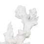 BigBuy Home Figurine Décorative Corail Blanc en Résine