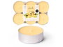 Acorde Lot de 6 bougies chauffe-plat maxi vanille 9 h cire jaune 17x2x11 cm (Set de 24)