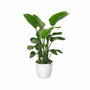 Elho Lot de 2 pots de fleurs Brussels ronds à roulettes - Blanc