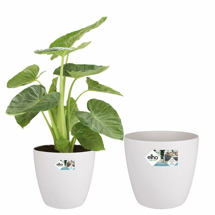 Elho Lot de 2 pots de fleurs Brussels ronds à roulettes - Blanc