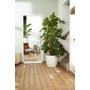 Elho Lot de 2 pots de fleurs Brussels ronds à roulettes - Blanc