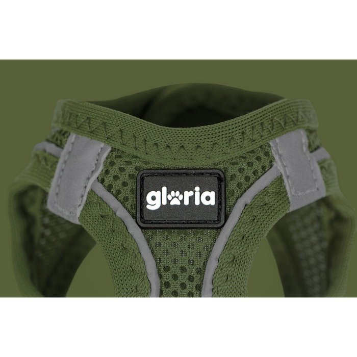 Harnais pour Chien Gloria 41,4-43 cm Vert S 29,4-32,6 cm Harnais pour Chien Gloria 41,4-43 cm Vert S 29,4-32,6 cm