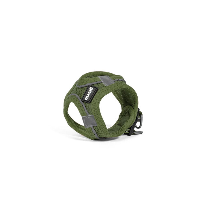 Harnais pour Chien Gloria 41,4-43 cm Vert S 29,4-32,6 cm Harnais pour Chien Gloria 41,4-43 cm Vert S 29,4-32,6 cm