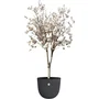 ELHO Pot de fleurs Sereh Rond 60 - 110 L - Ø 59 x H 51 cm - Noir - Intérieur/Extérieur - 100% recyclé
