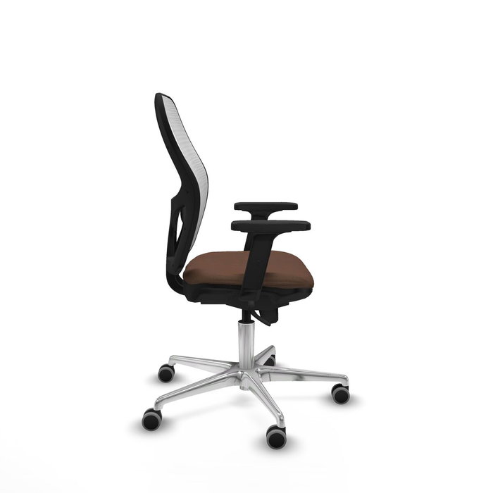 Piqueras y Crespo 2D086G0 Blanc Brun foncé