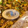 Lumisky DECKY - Lot de 8 spots solaires LED ronds en inox, encastrables ou à piquer, diamètre 12 cm, blanc froid, pour éclairage extérieur