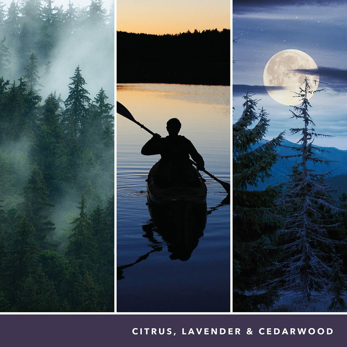 Bougie Parfumée Yankee Candle 1629968E Bougie Parfumée Yankee Candle 1629968E