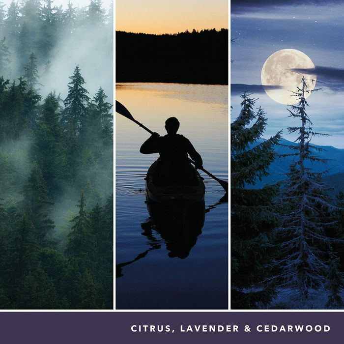 Yankee Candle Bougie Parfumée Signature Large Jar Midsummers Night 567g