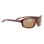 Serengeti SS571004-S Marron