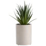 Day Plante artificielle décorative en pot de ciment