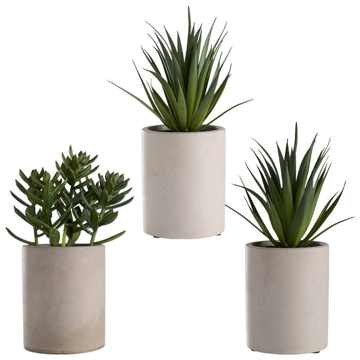 Day Plante artificielle décorative en pot de ciment Day Plante artificielle décorative en pot de ciment