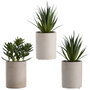 Day Plante artificielle décorative en pot de ciment