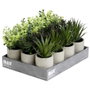 Day Plante artificielle décorative en pot de ciment