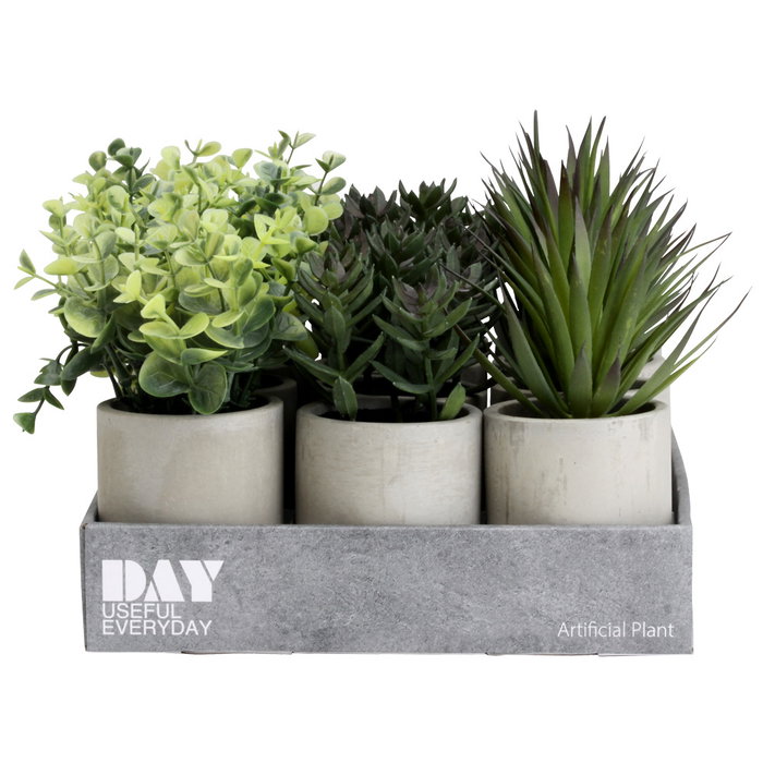 Day Plante artificielle décorative en pot de ciment Day Plante artificielle décorative en pot de ciment
