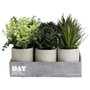 Day Plante artificielle décorative en pot de ciment