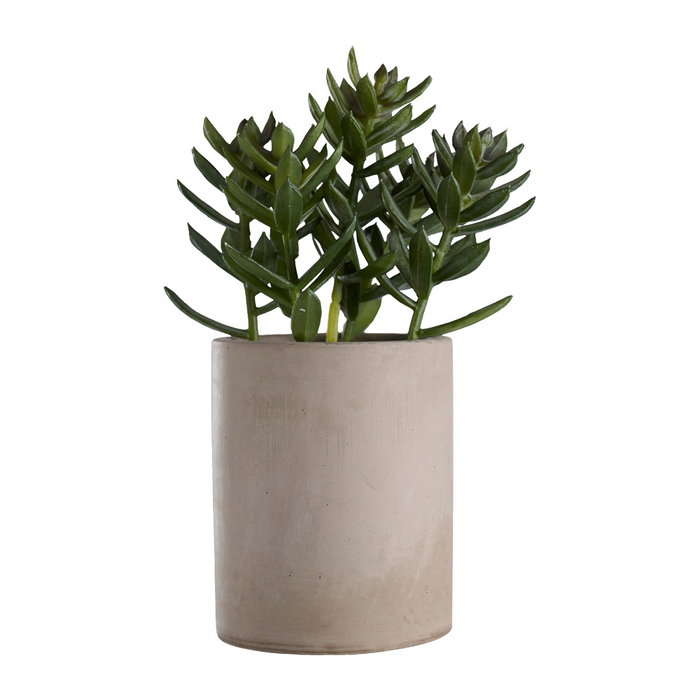 Day Plante artificielle décorative en pot de ciment Day Plante artificielle décorative en pot de ciment