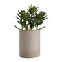 Day Plante artificielle décorative en pot de ciment