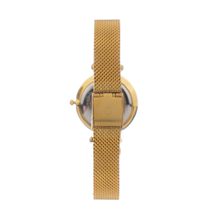 Radiant RA519603 avec cadran gris et bracelet doré