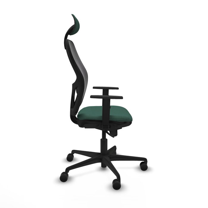 Piqueras y Crespo Chaise de Bureau Jorquera, Assise Vert Bouteille et Dossier Noir Piqueras y Crespo Chaise de Bureau Jorquera, Assise Vert Bouteille et Dossier Noir
