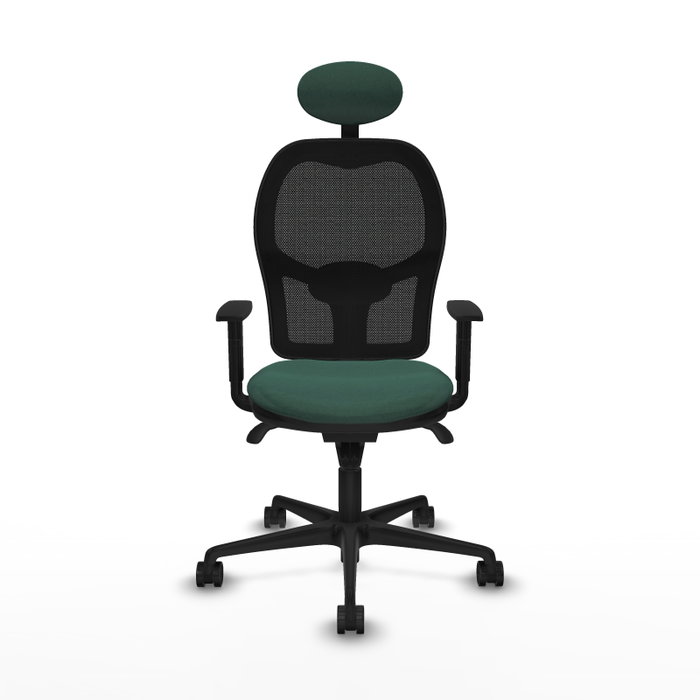 Piqueras y Crespo Chaise de Bureau Jorquera, Assise Vert Bouteille et Dossier Noir Piqueras y Crespo Chaise de Bureau Jorquera, Assise Vert Bouteille et Dossier Noir