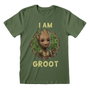 Marvel T-shirt à manches courtes Marvel Badge Vert Unisexe L