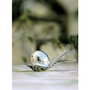 Alessi PW01 Catador de Aceite - Taste-Huile en acier inoxidable 18/10 - Coupe-à-Olives conception Lorenzo Piccione