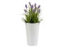 Ibergarden Seau Haut avec Anses Blanc Bord Argent 20x23,5x15 cm Zinc 2L (Set de 24)