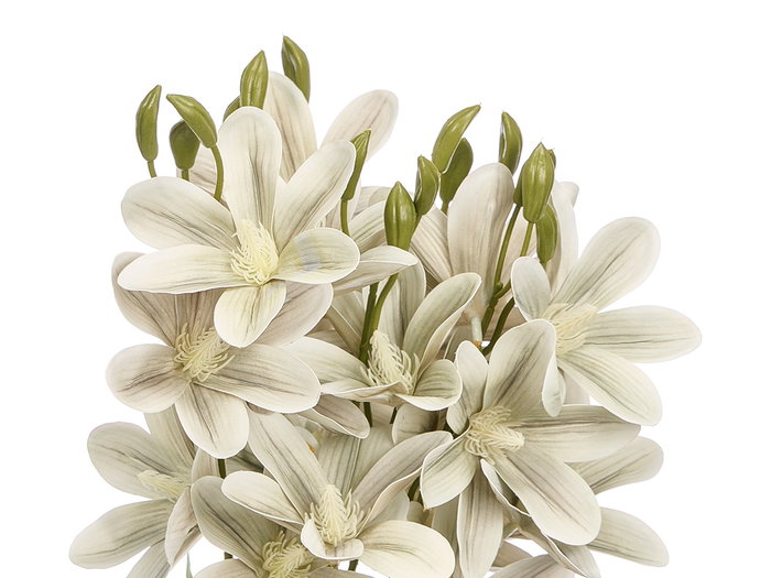 Ibergarden Branche 5 Rameaux 20 Fleurs Vert Vieilli 55 cm (Set de 12)