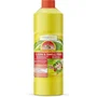 Vetocanis Nettoyant concentré Bogar 100 ml Sans odeur Multi-usage Désodorisant - Nettoie et élimine les odeurs