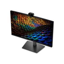 Dell P2426HEB Moniteur Professionnel 24 pouces IPS Full HD avec Webcam et USB-C