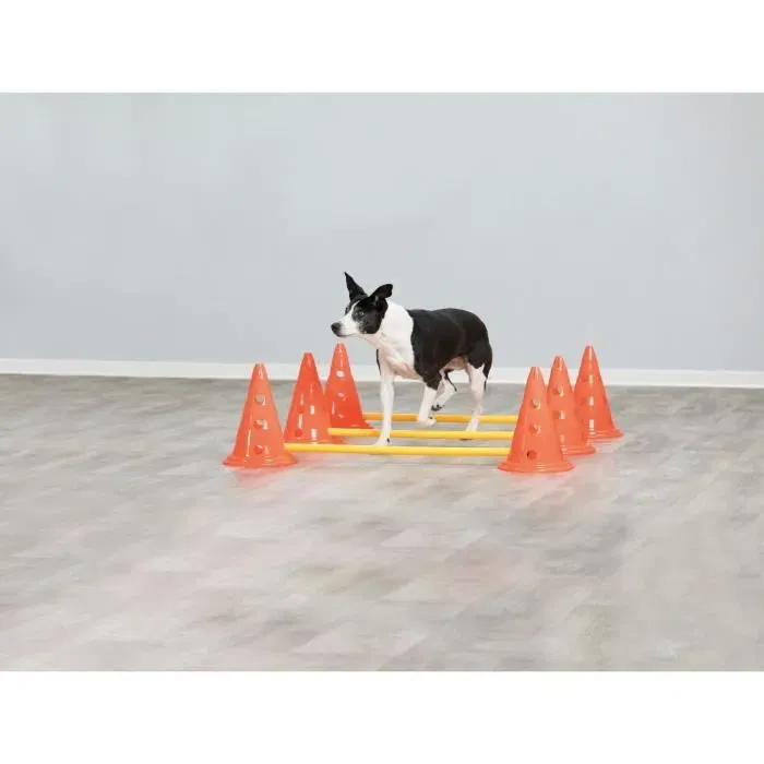 TRIXIE Lot de 3 activités d'obstacle pour chien - Ø 23 x 30 cm - 78 cm de hauteur - Orange et jaune