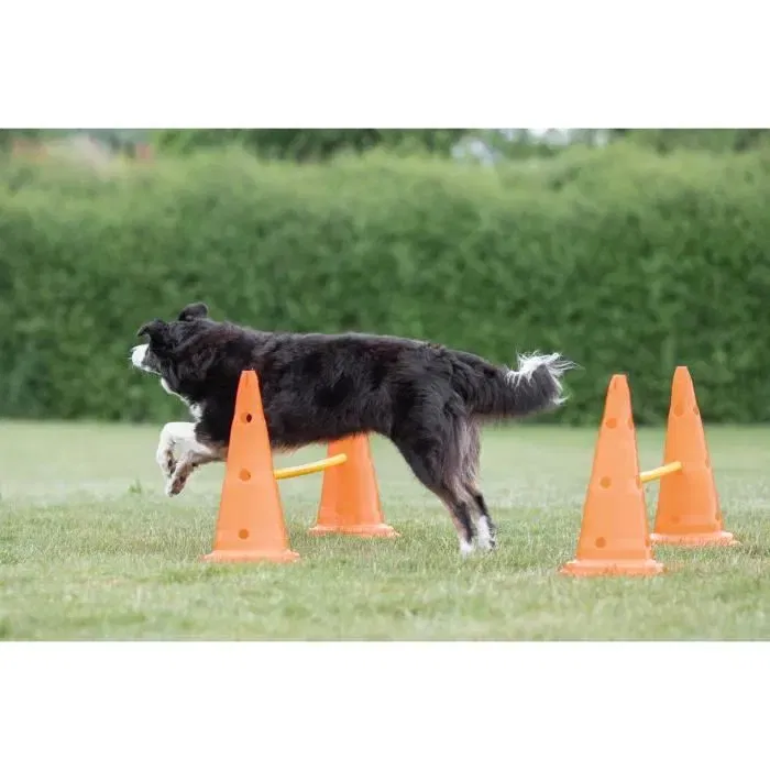 TRIXIE Lot de 3 activités d'obstacle pour chien - Ø 23 x 30 cm - 78 cm de hauteur - Orange et jaune