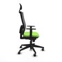 Piqueras y Crespo Chaise de bureau Horna Pistache et Gris