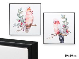 GIFTDECOR Tableau sur toile cadre noir Oiseaux Assortiment
