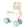 Fisher Price Véhicule Lapin En Bois à Pousser avec Queue en Silicone à Ressort, Jouet d'Éveil Motricité Fine pour Enfants Dès 12 Mois