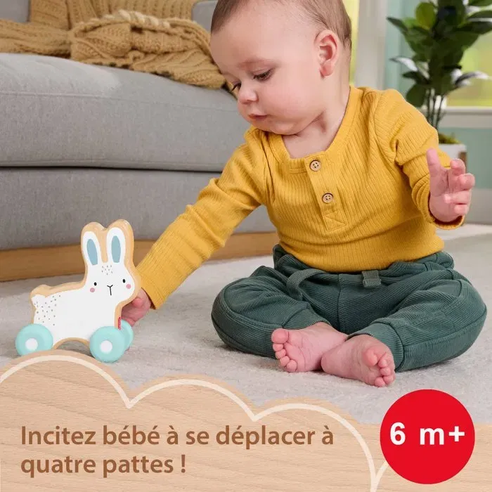 Fisher Price Véhicule Lapin En Bois à Pousser avec Queue en Silicone à Ressort, Jouet d'Éveil Motricité Fine pour Enfants Dès 12 Mois