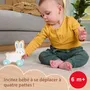 Fisher Price Véhicule Lapin En Bois à Pousser avec Queue en Silicone à Ressort, Jouet d'Éveil Motricité Fine pour Enfants Dès 12 Mois