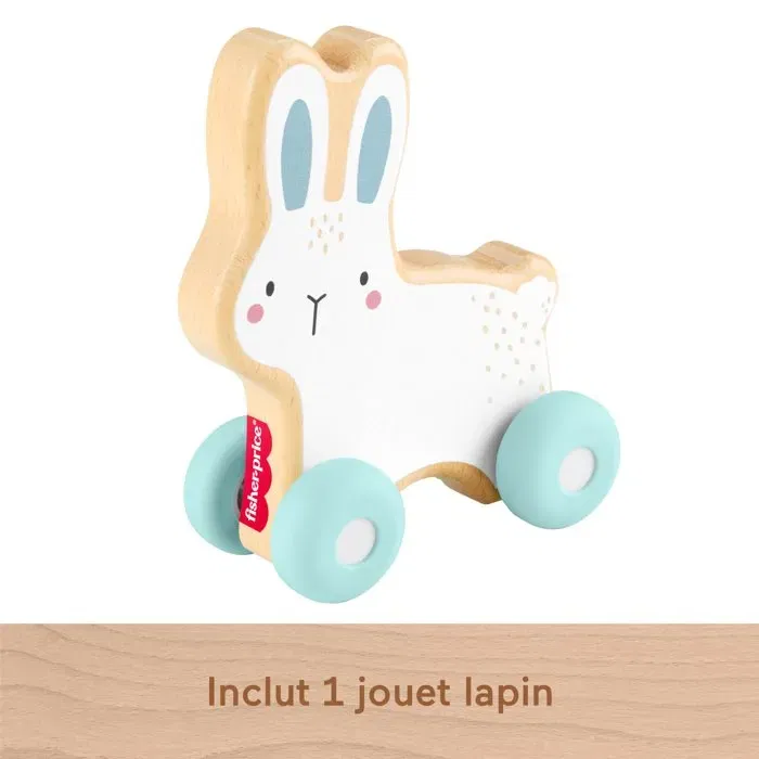 Fisher Price Véhicule Lapin En Bois à Pousser avec Queue en Silicone à Ressort, Jouet d'Éveil Motricité Fine pour Enfants Dès 12 Mois