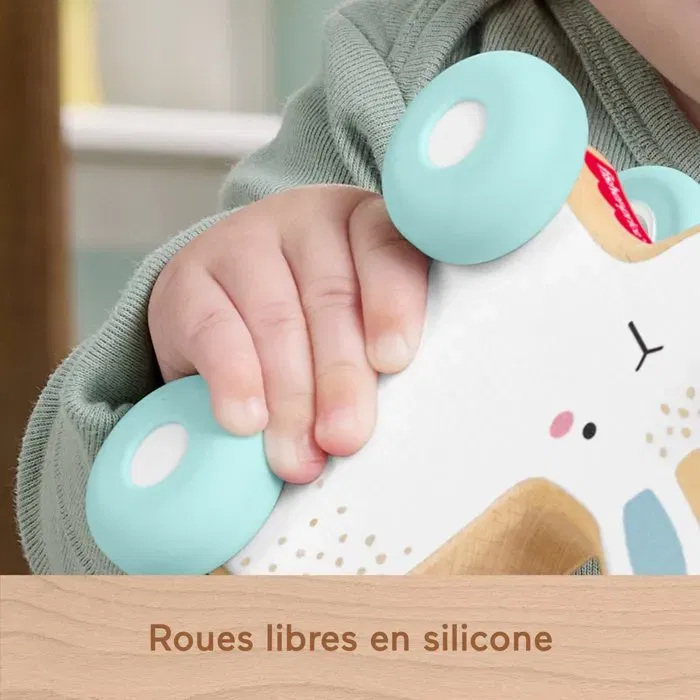 Fisher Price Véhicule Lapin En Bois à Pousser avec Queue en Silicone à Ressort, Jouet d'Éveil Motricité Fine pour Enfants Dès 12 Mois