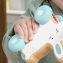 Fisher-Price Lapin à pousser en bois