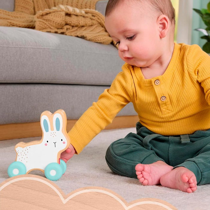 Fisher-Price Lapin à pousser en bois