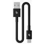 Câble USB A vers USB-C Apple MEQL4ZM/A Noir