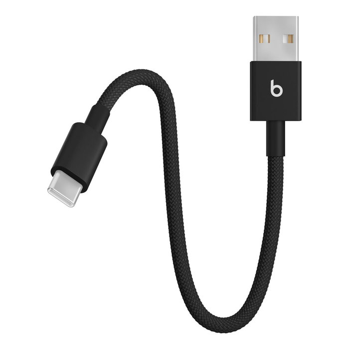 Câble USB A vers USB-C Apple MEQL4ZM/A Noir